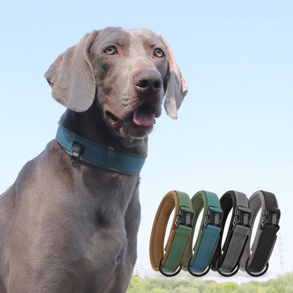 Verstellbares kleines Hundehalsband mit Leine, Haustiersicherheitshalsband, Bequeme Ausrüstung zum Spazierengehen für Welpen und kleine Hunde