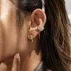 Stainless Steel Ear Clips, Women's Non-pierced Zirconia Earrings, Luxurious and High-end Style Earrings for Autumn and Winter.