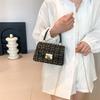 Fashion Trend Small Square Bag Shoulder Bag 2025 This Year's Popular New Niche Single Shoulder Simple Personalized Korean Version of Women's Bags