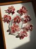 Creative Handmade Art Fragrance Insertion New Year Red Butterfly Orchid Flower Ornament, High Grade Iris Flower Gift