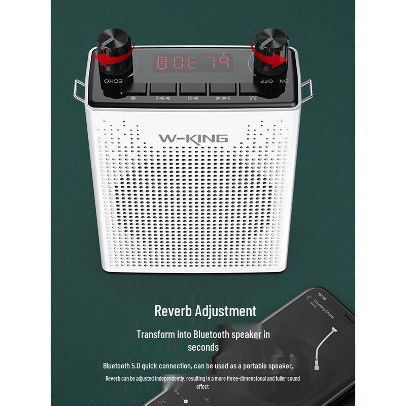 W-King KS06 Portable Voice Amplifier with Wireless Microphone CN Plug (adapter Included)