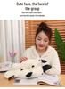 Adorable Platypus Plush Pillow - Stuffed Animal, Sleeping Companion, Ideal Gift for Kids and Girls