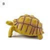 Sulcata Tortoise Mold Vivid Clear Texture 3D Effect Sea Ocean Life Simulation Animal Model for Kids