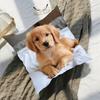 1Pc Golden Retriever Throw Cushion Covers Chair Living Room Pillowcase Cozy Zipper Sofa Pillow Covers Bedroom Indoor Home Decor