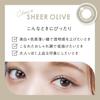 Cleo Eyetone One-Day Lenses, 10 Lenses per Box, Sand Beige, BC 8.5, PRW -1.50