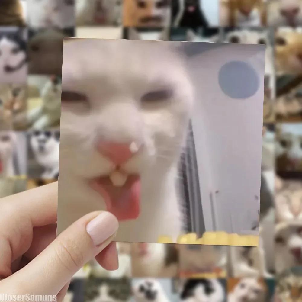 60 Adet Fotoğraf Modern Sevimli Garip Çirkin Gerçek Kedi Scrapbooking Çıkartmaları Malzeme Kırtasiye Çocuk Kendin Yap Malzemeleri El İşi Junk Journal