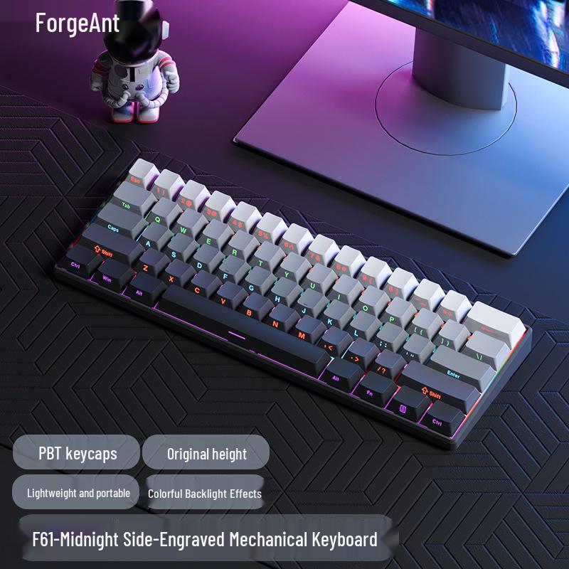 61-key Wired Mechanical Keyboard, Blackberry Gradient Design for Gaming & Office, High Aesthetic Value for Girls
