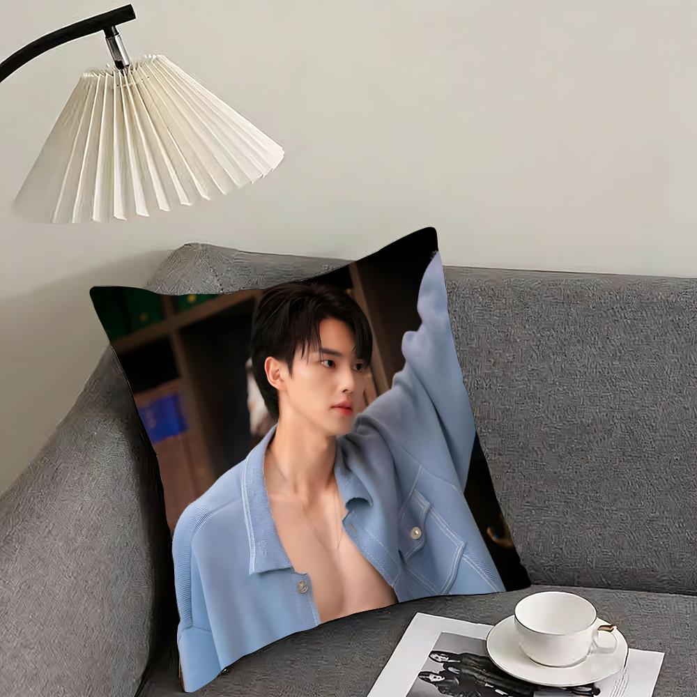 SSong KanGg Actor Cushion Cover Pillowcase Ultra Soft Skin Friendly Fabric Cloud Like Comfort Concealed Zipper 30x30cm