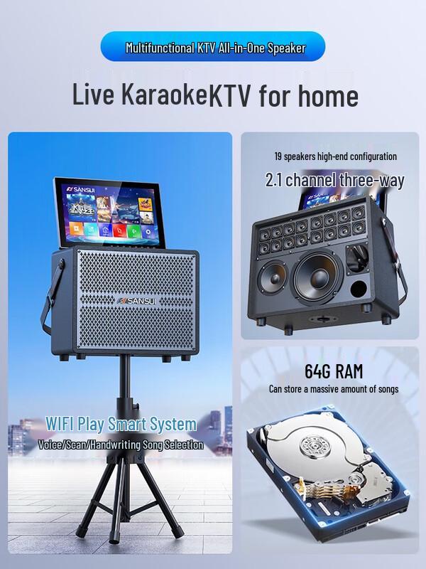 SANSUI Q53 Home KTV Audio System CN Plug (adapter Included)