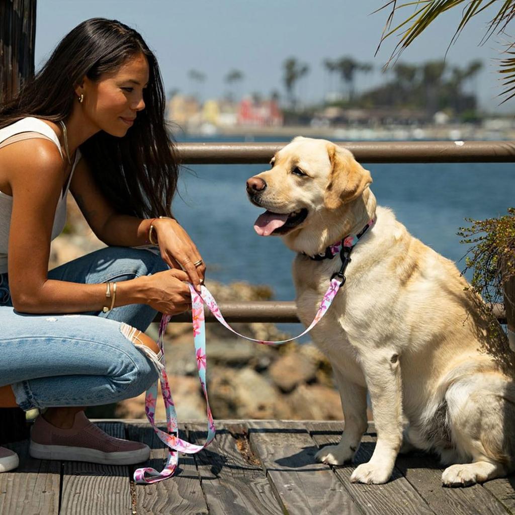 WOLFGANG SandFlats Leash (S size) 1.6cm wide x 122cm long [Leash for small dogs]
