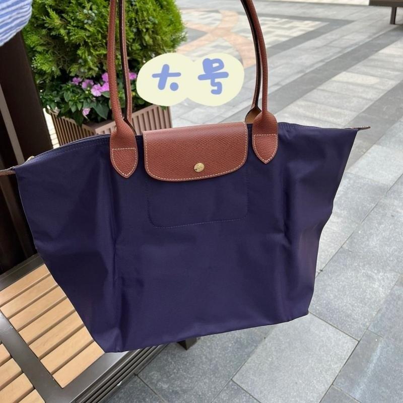 Unique Style Dumpling Large Nylon Shoulder Bag For Women With Ecofriendly Features In Hues Classic