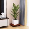 Rectangular Mobile Plant Pot Caddy