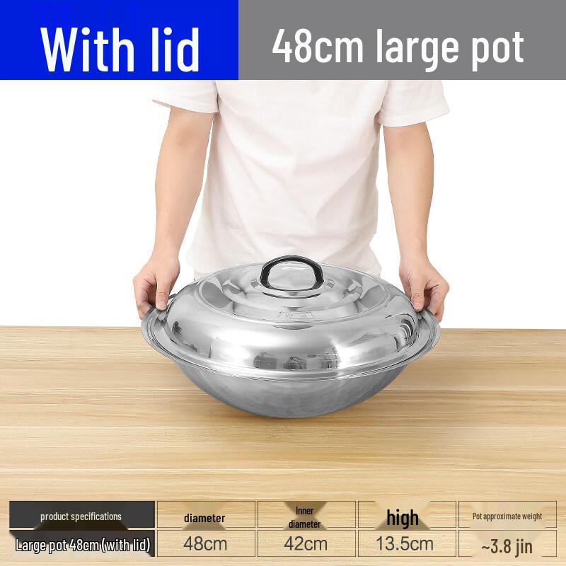 Thick Stainless Steel Versatile Pot with Lid