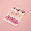 Handmade Pressed Flower Bookmark DIY Kit: Real Dried Flowers, Creative Craft, Unique Plant Specimen, Perfect Small Gift