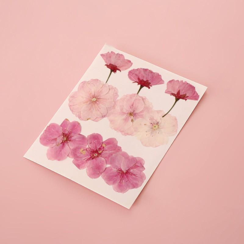 Handmade Pressed Flower Bookmark DIY Kit: Real Dried Flowers, Creative Craft, Unique Plant Specimen, Perfect Small Gift