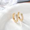 6/8/10/12mm Silver Double Row Zircon Hoop Earrings for Women Trendy Y2K CZ Huggies Earring Jewelry Gifts
