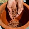 NATUREN Clay Pellets - 40L - Protects Against Frost and Saves Water