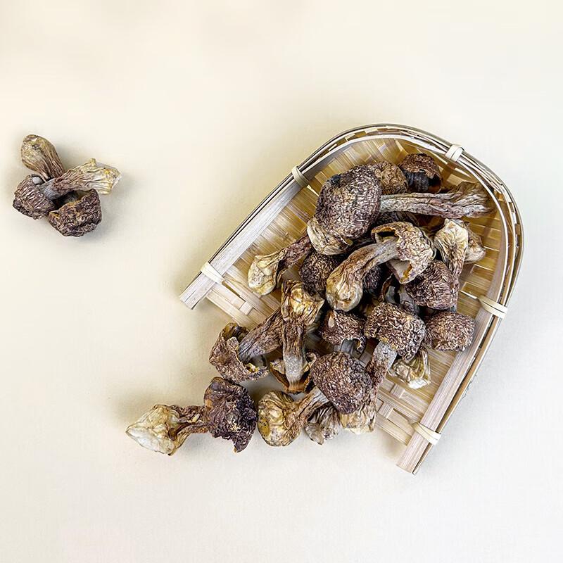 Agaricus Blazei Mushrooms