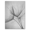 Dandelion Canvas Painting Quote Wall Picture Home Decor Landscape Plant Art Posters Life Forever Quote Art Prints HD2800