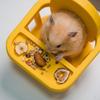 12cm Mini Hamster Dining Seat with Snack Tray, Cute Yellow Feeding Chair, Cage Decor Accessory for Syrian Dwarf Hamsters