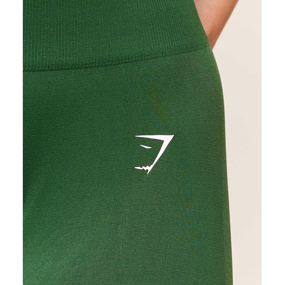 Gymshark Everyday Seamless Leggings Athletic Green B7a3l Ec7k