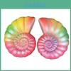 Bunte Regenbogen-Muschel Langsam zurückfedernder Stressball Kinderspielzeug Geschenk für die emotionale Entwicklung