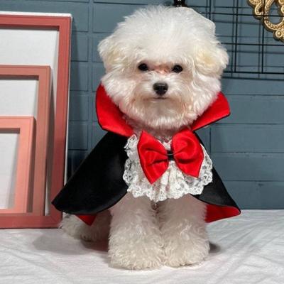 Kočky – Oblečení pro kočky