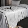 Southern Life 60S Satin Tussah Silk Summer Comforter