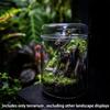 Cylinder Glass Terrarium Perforated Cover Moss Plant Pots Art Vase Micro Landscape  Indoor Planting