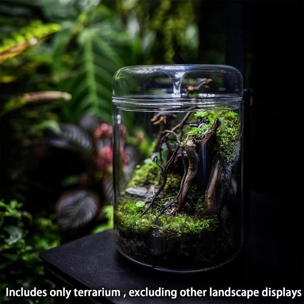 Cylinder Glass Terrarium Perforated Cover Moss Plant Pots Art Vase Micro Landscape  Indoor Planting