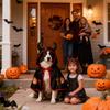Funny Pet Costumes for Small Dogs Puppy Cloak Dog Pet Costumes for Puppy Photo Props Large Breed Photo Props