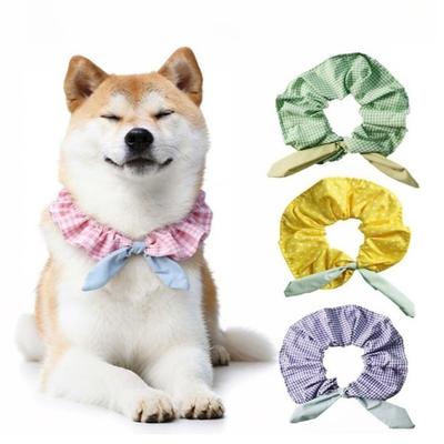 Tøj og sko – Accessories til hunde