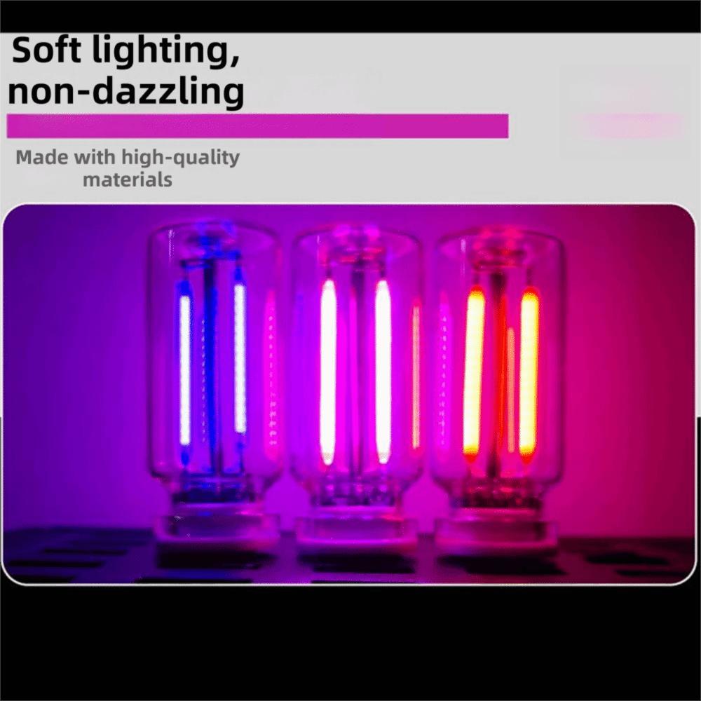 2Pcs Eye Protection LED Filament Glass Bulb Glass Material USB LED Bulb Car Decoration