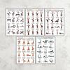 Yousheng 5 Piezas Póster de Entrenamiento con Mancuernas, Tabla de Ejercicios en Casa para Brazo Pierna Cadera Core, Guía de Entrenamiento de Cuerpo Completo Pared