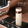 Mycaro Tea Infuser Vacuum Insulated Bottle