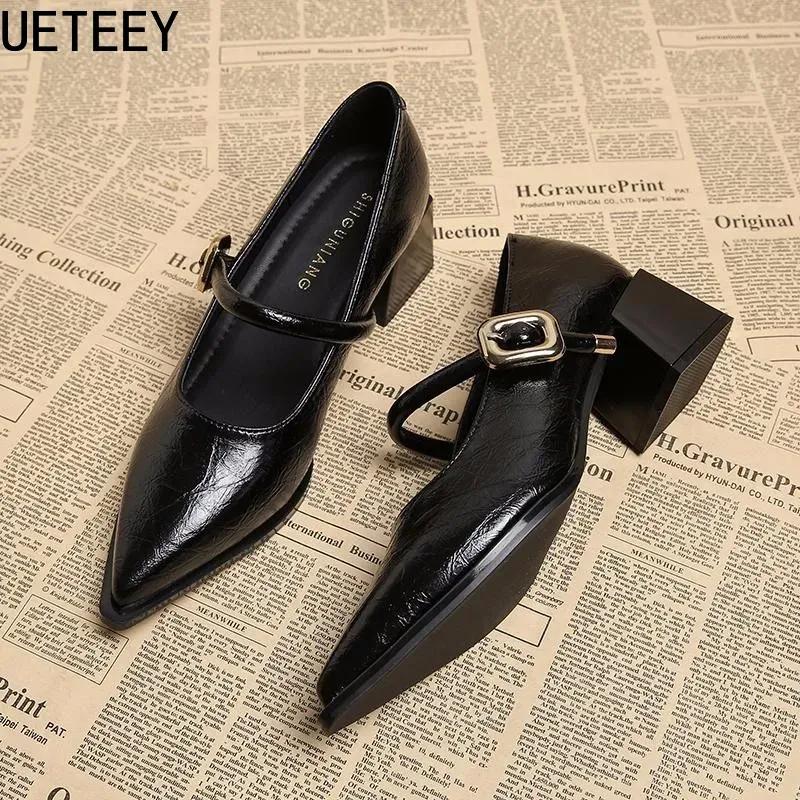 Designer Vintage Pointed Toe Women Mary Jane Shoes Fashion Shallow Buckle Shoes Ladies Elegant Dress Thick Heel Shoes