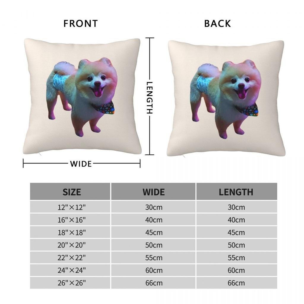 Cute Pomeranian Dog Square Pillowcase Pillow Cover Cushion Throw Pillow for Home Bedroom Car