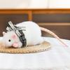 New Doll Flower Branch Mouse Doll Plush Toy Creative Cheese Cartoon Doll