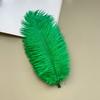 Source Thin Rod Ostrich Hair 20-25Cm High Quality Feather Diy Stage Clothing Accessories Flower Arrangement Material