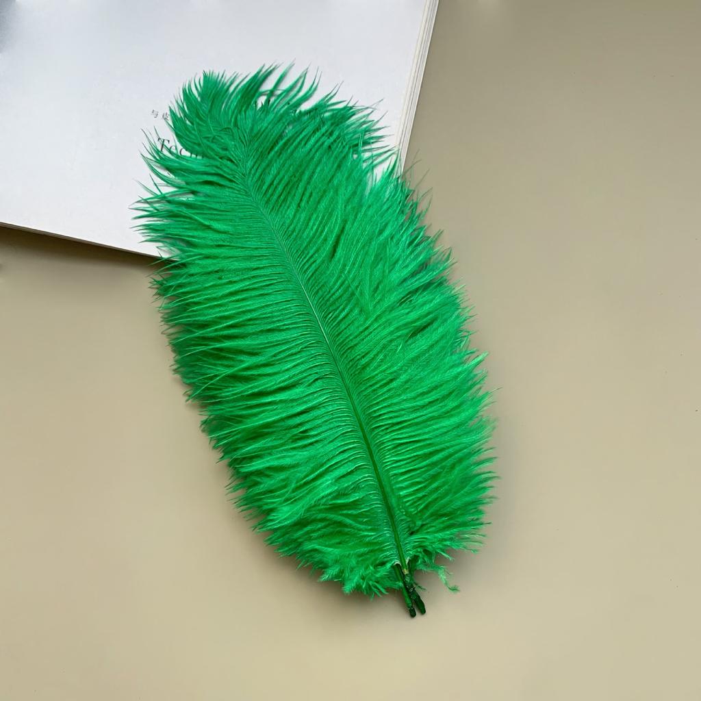 Source Thin Rod Ostrich Hair 20-25Cm High Quality Feather Diy Stage Clothing Accessories Flower Arrangement Material