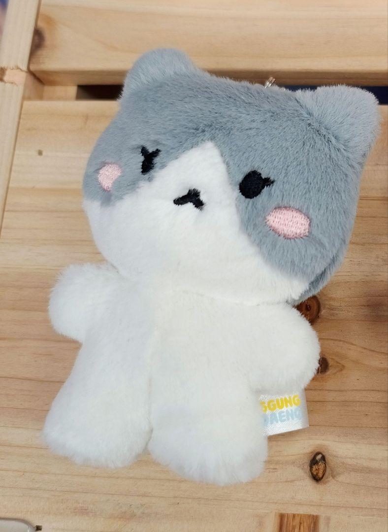 

[USED] SHINee Taemin Kundeni Pop-up Mascot Plush Toy