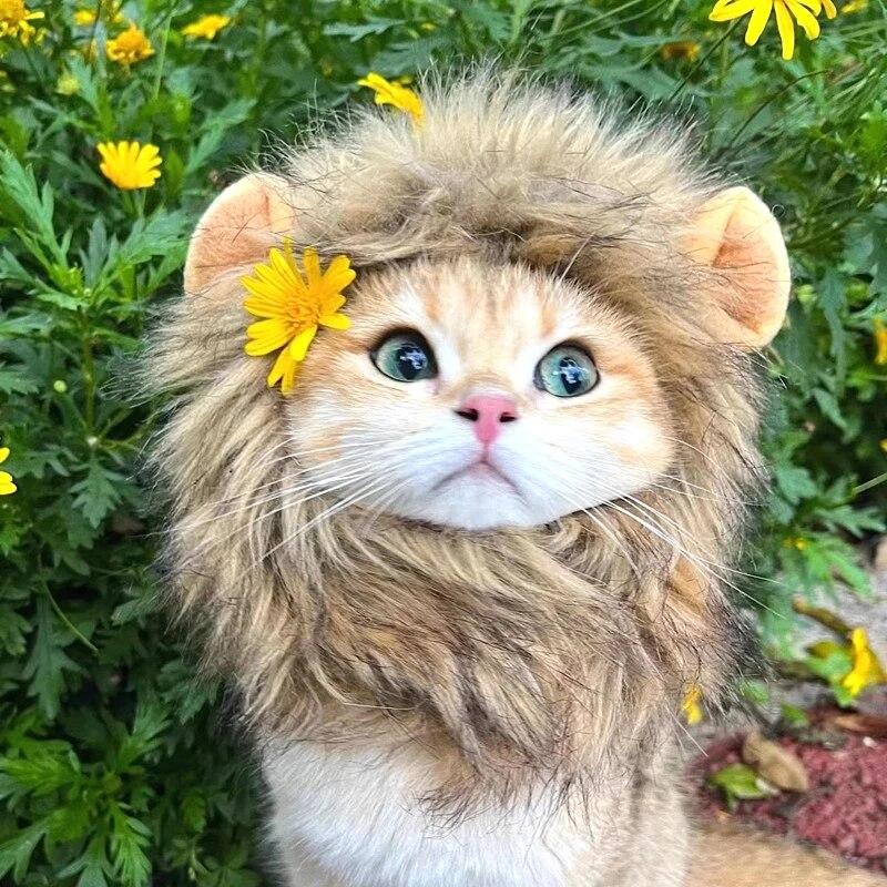 Cat Cosplay Dress Up Pet Hat Cute Lion Mane for Cat Puppy Lion Wig Costume Party Decoration Halloween Christmas Gatos Costume Cosplay Toy Pet Supplies