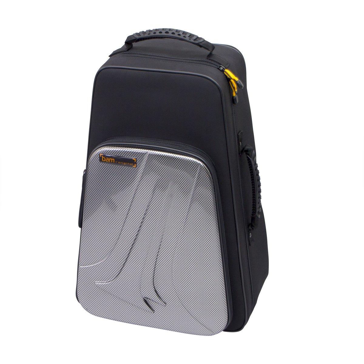 

BAM New Trekking Case for Trumpet Double Silver Carbon TREK3024SSC