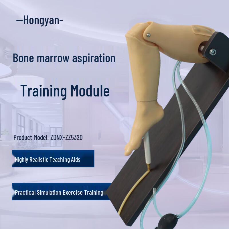 Tibial Puncture and Femoral Vein Access Training Model