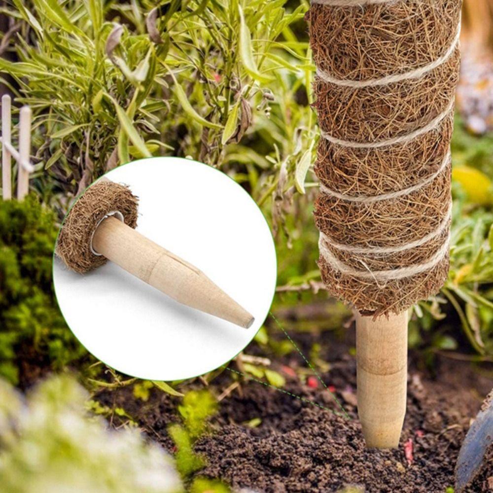 Fashion Detachable Moss Pole 32/42/52cm Gardening Tools Plant Climbing Pole To Grow Upwards Coconut Palm Stick Indoor