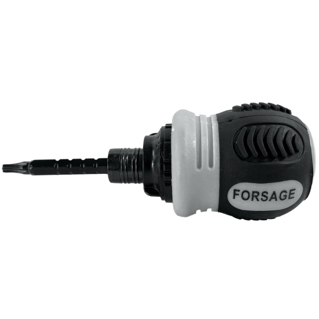 Double-sided ratchet screwdriver with switch and bit adjustment