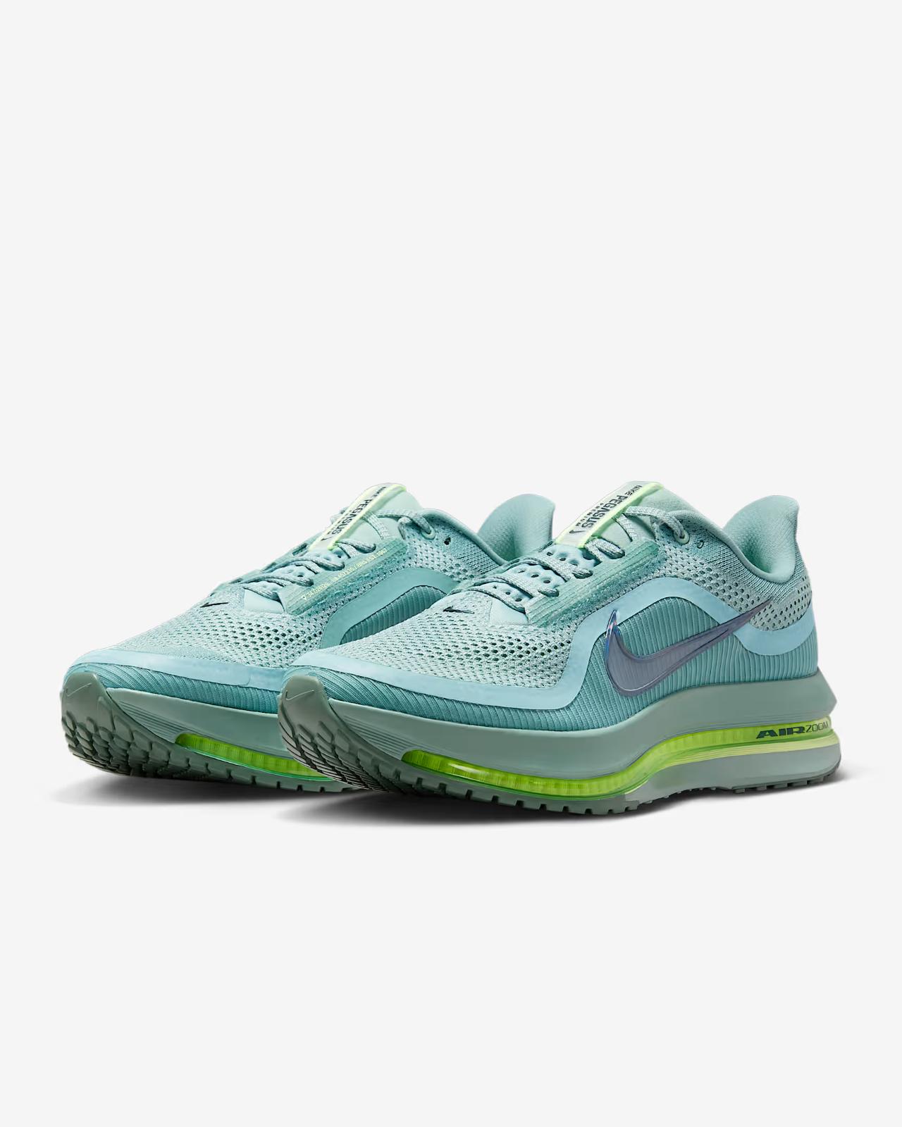 HQ2592-009 Nike Pegasus Premium Cannon (Мужской) 10