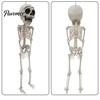 Halloween Party Supplies Posable Skeleton Decoration, 41 Inch Full Body Hanging Human with Movable Joint for Joints Yard Garden Porch Lawn Haunted