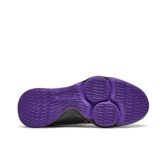 Nike LeBron Witness 5 EP 'Lakers' CQ9381-001