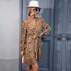 YYFS Women's Fashion Summer Spring Leopard Print Long Sleeve V-Neck High Waist Casual Dresses